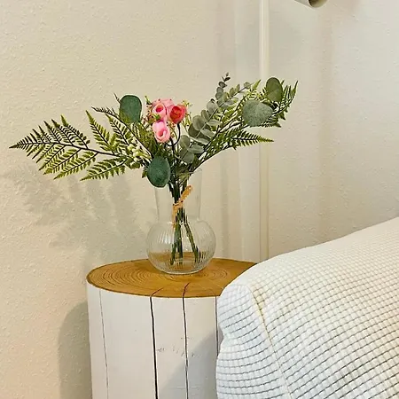 Apartamento San Francisco Oviedo