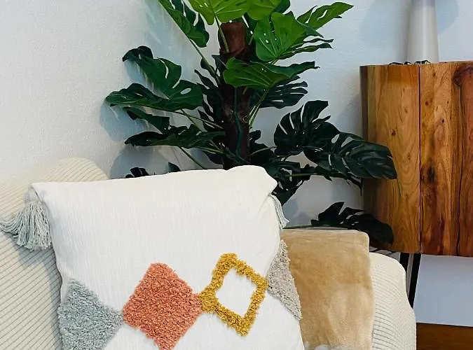 San Francisco Apartament *